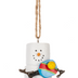 Smores Pickle Ball Player Ornament