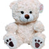 Plush Cream Colored Paw Print Bear