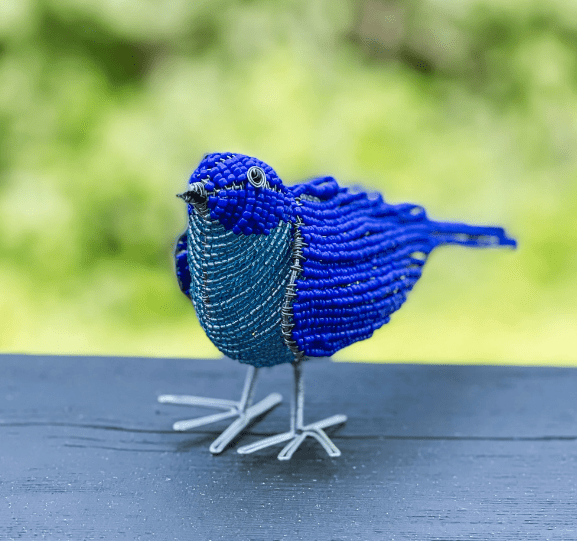 Beaded Bluebird