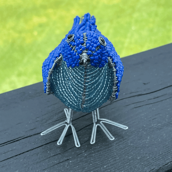 Beaded Bluebird