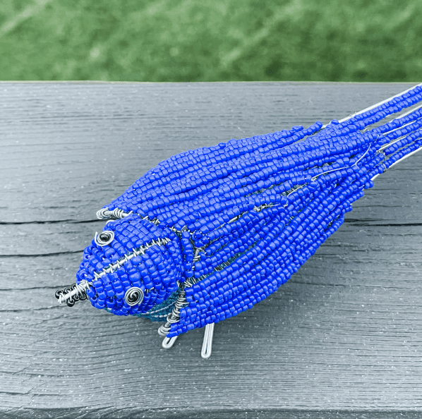 Beaded Bluebird