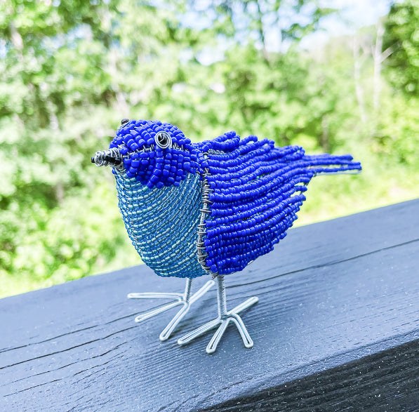 Beaded Bluebird