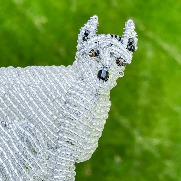 Beaded Lemur