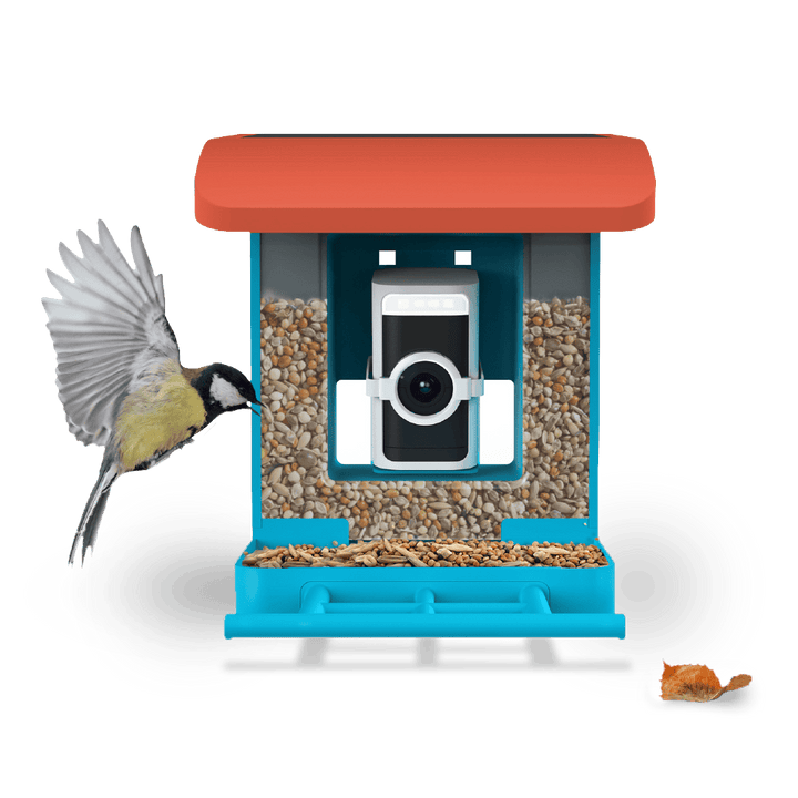 Wyze Bird Feeder