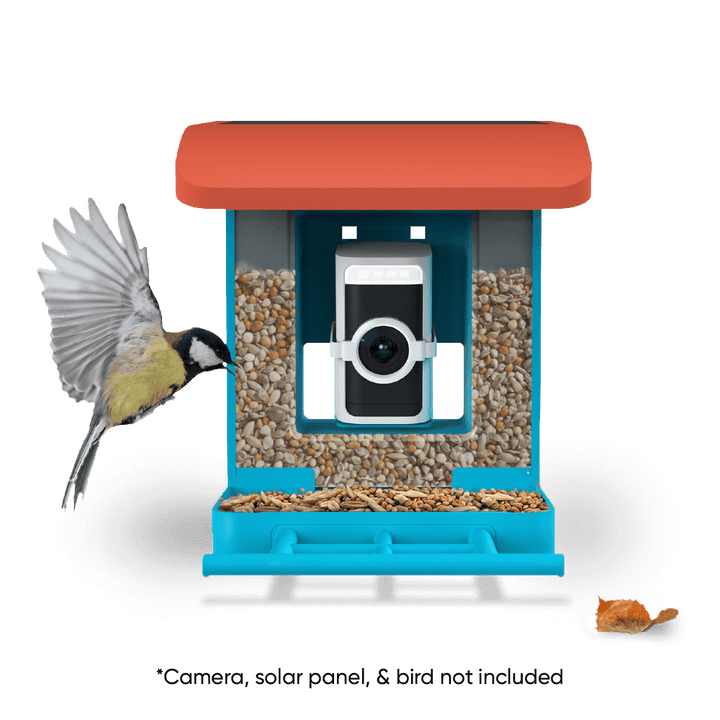 Wyze Bird Feeder