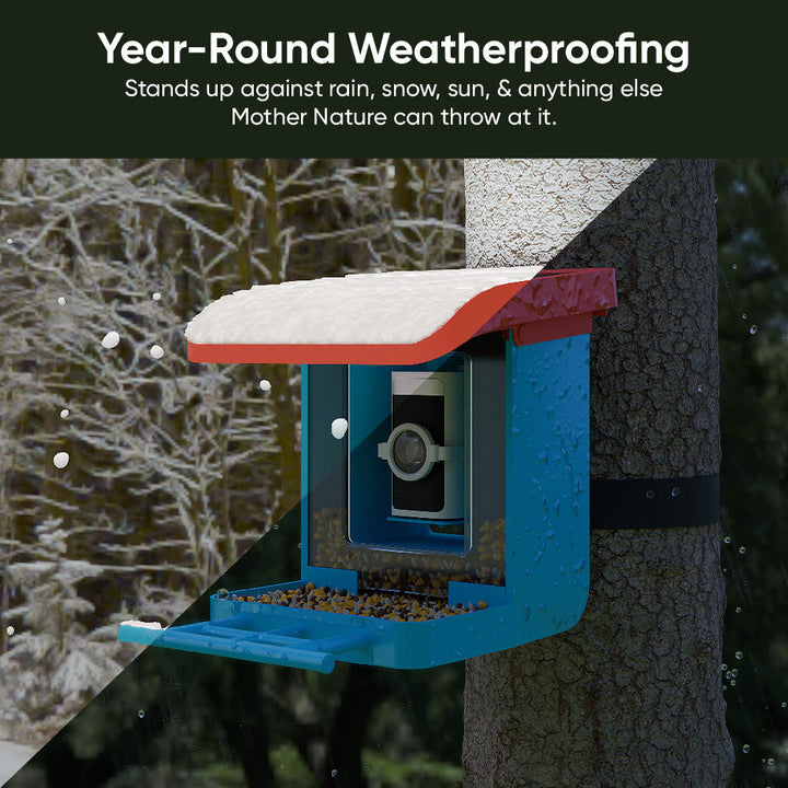 Wyze Bird Feeder