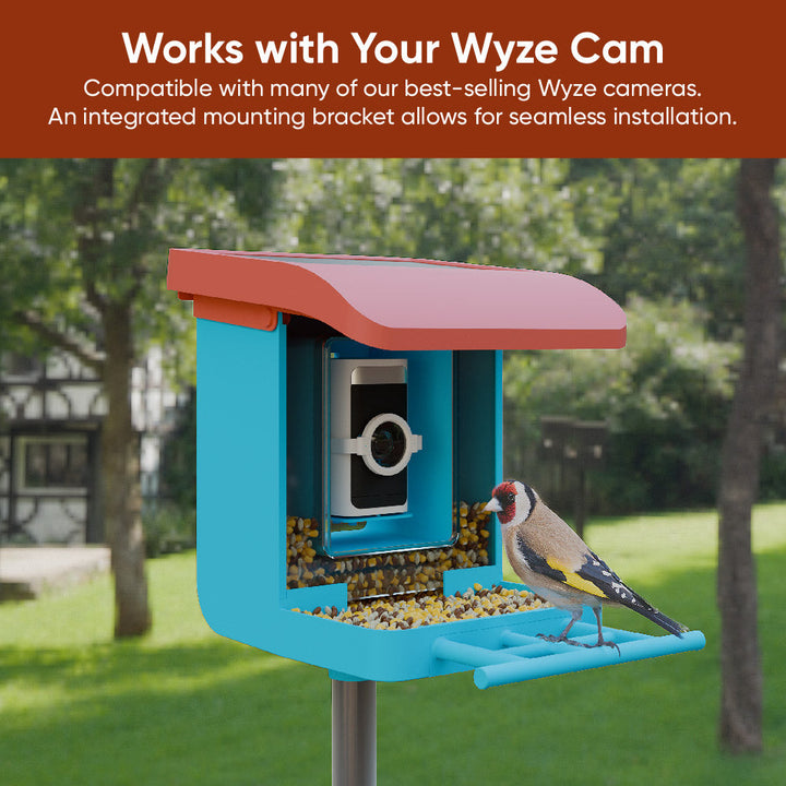 Bird Feeder Wireless Camera Bundle